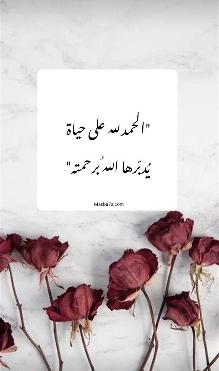 Hend Mokhtar